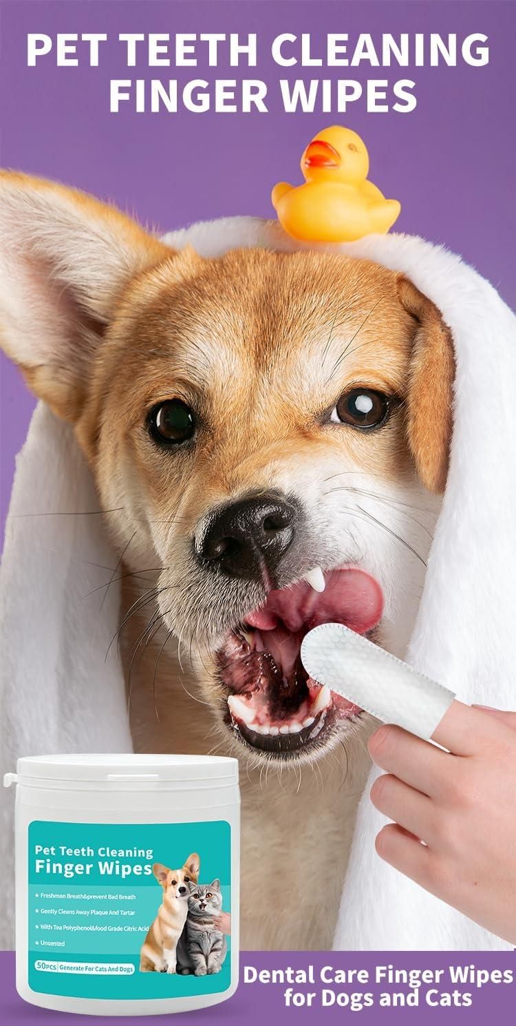 Pet Care