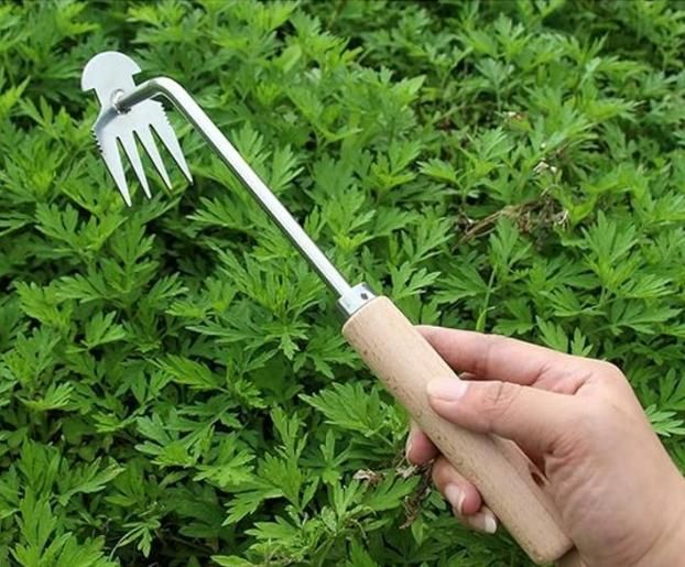 Gardening Tools & Equipment